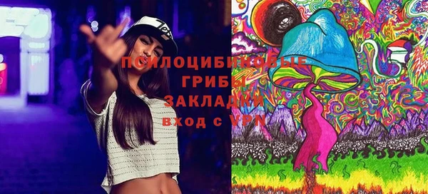 дурь Белокуриха