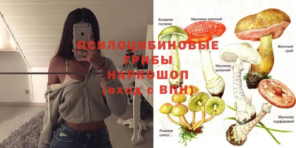 дурь Белокуриха