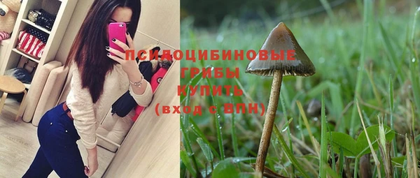 дурь Белокуриха