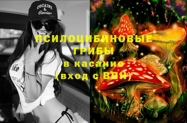 дурь Белокуриха