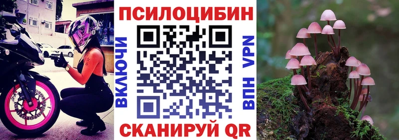 Галлюциногенные грибы мицелий  Горно-Алтайск 