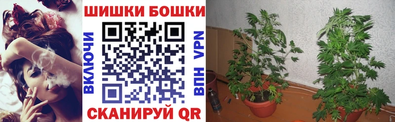 Каннабис SATIVA & INDICA  купить наркотики сайты  МЕГА вход  Горно-Алтайск 